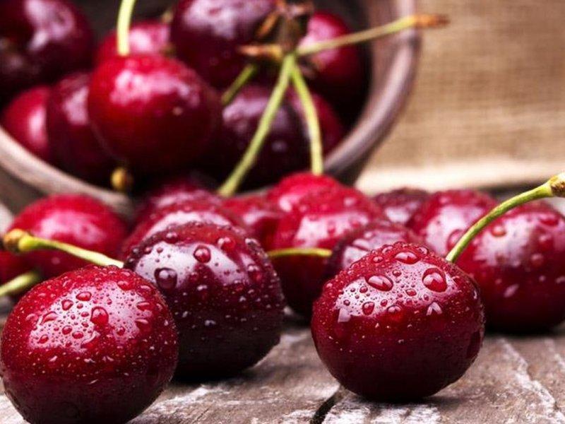 Вишня купить саженцы из питомника в Брянске